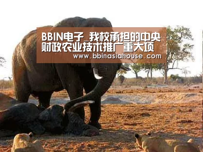 BBIN电子_我校承担的中央财政农业技术推广重大项目启动会暨技术推广培训会在盐城召开(图2) BBIN国际厅