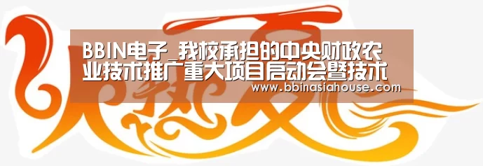 BBIN电子_我校承担的中央财政农业技术推广重大项目启动会暨技术推广培训会在盐城召开(图3) BBIN国际厅
