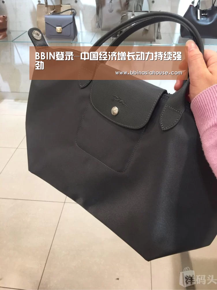BBIN登录-中国经济增长动力持续强劲(图3) BBIN登录
