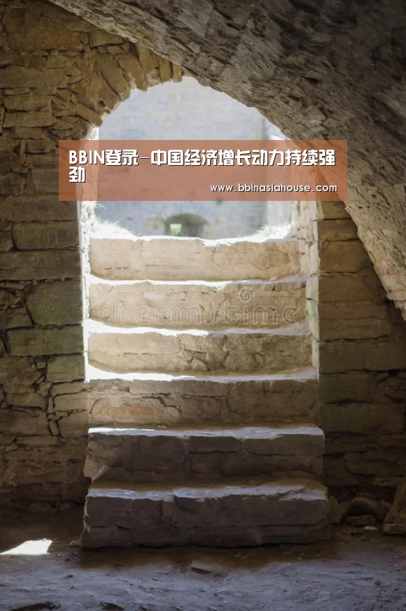 BBIN登录-中国经济增长动力持续强劲(图4) BBIN足球