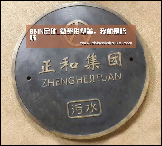BBIN足球_微整形塑美，我就是哈妹