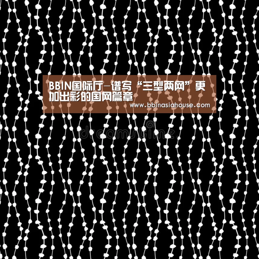 BBIN国际厅-谱写“三型两网”更加出彩的国网篇章(图1) BBIN国际厅