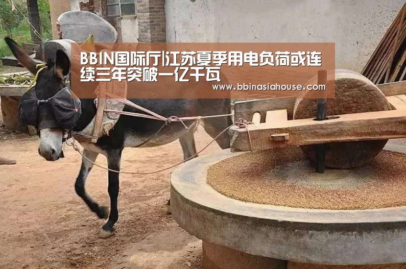 BBIN足球