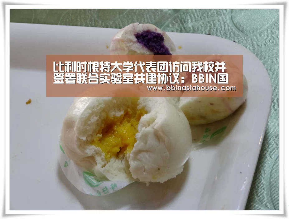 比利时根特大学代表团访问我校并签署联合实验室共建协议:BBIN国际厅(图3) BBIN足球