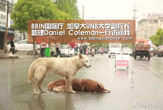 BBIN国际厅