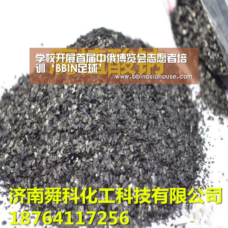 学校开展首届中俄博览会志愿者培训‘BBIN足球’(图3) BBIN电子